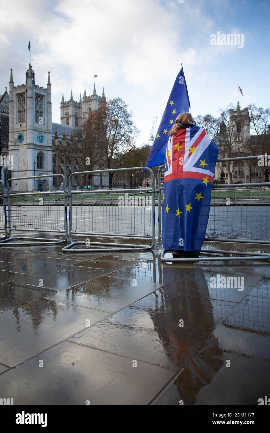 14 décembre 2020, Angleterre, Londres : une femme participe à une manifestation anti-Brexit sur la place du Parlement. Banque D'Images