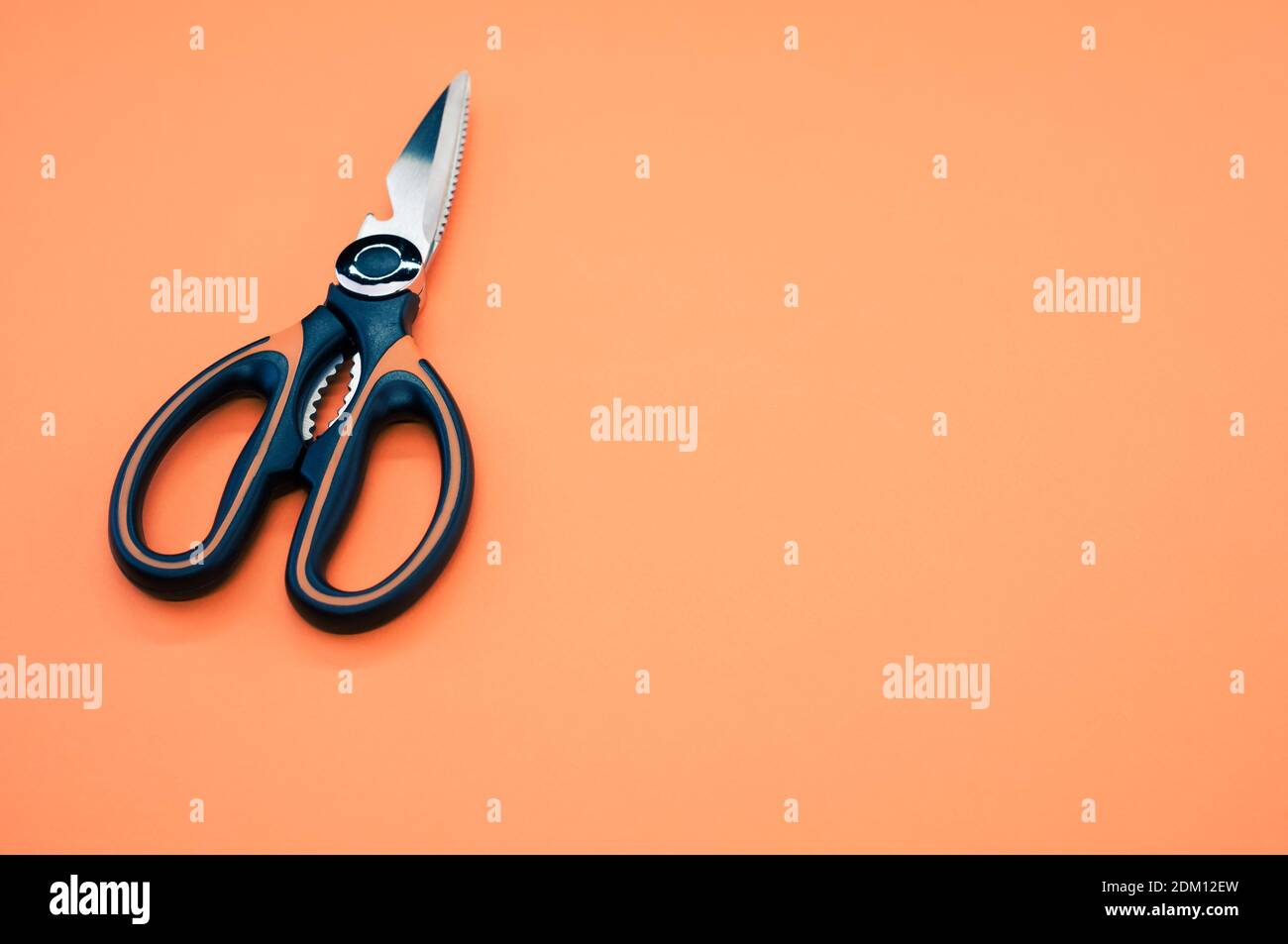 Gros plan de ciseaux isolés sur fond rose. Outil de coupe avec lames zigzag, copier l'espace Banque D'Images