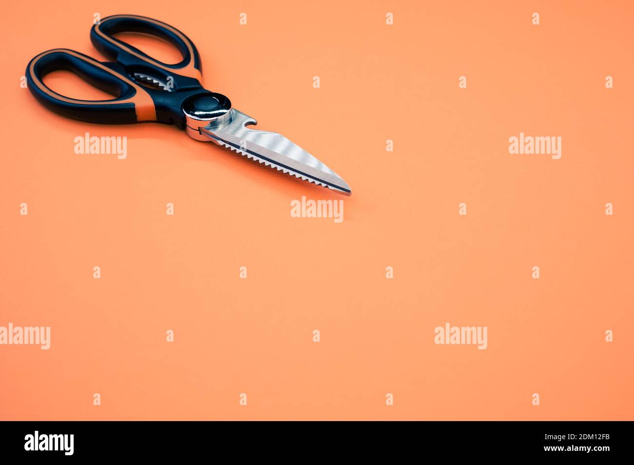 Gros plan de ciseaux isolés sur fond rose. Outil de coupe avec lames zigzag, copier l'espace Banque D'Images