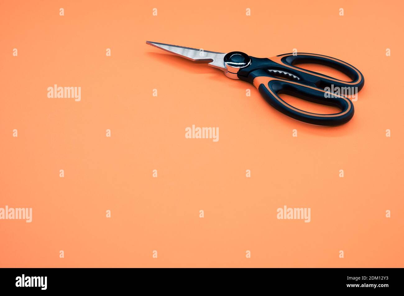 Gros plan de ciseaux isolés sur fond rose. Outil de coupe avec lames zigzag, copier l'espace Banque D'Images