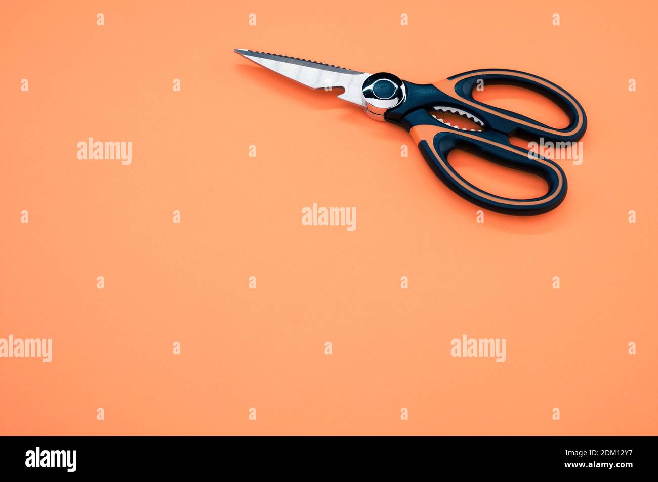Gros plan de ciseaux isolés sur fond rose. Outil de coupe avec lames zigzag, copier l'espace Banque D'Images