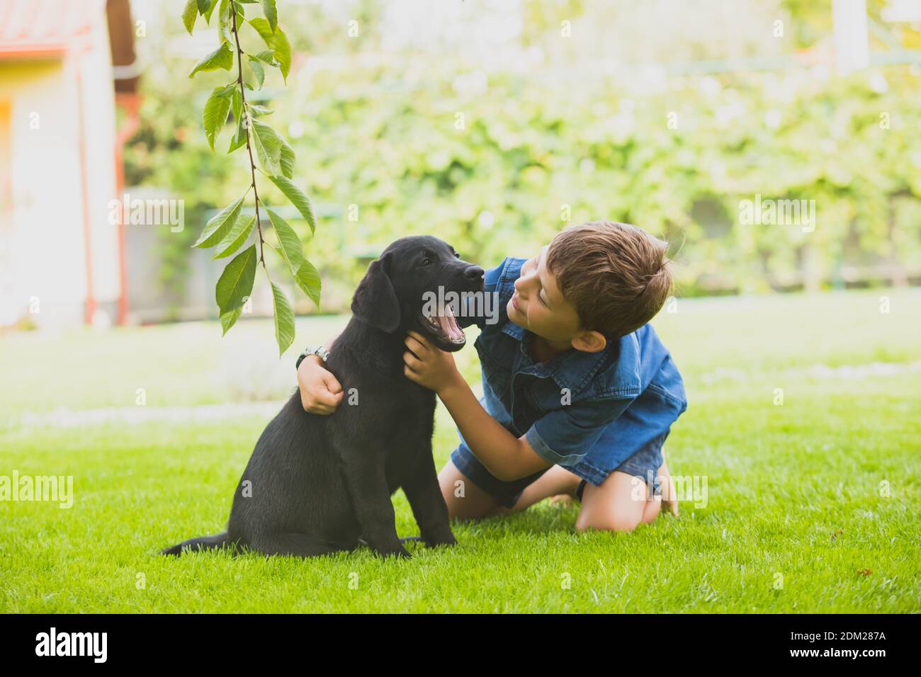 Amitié fidèle et durable entre enfant et chien Banque D'Images