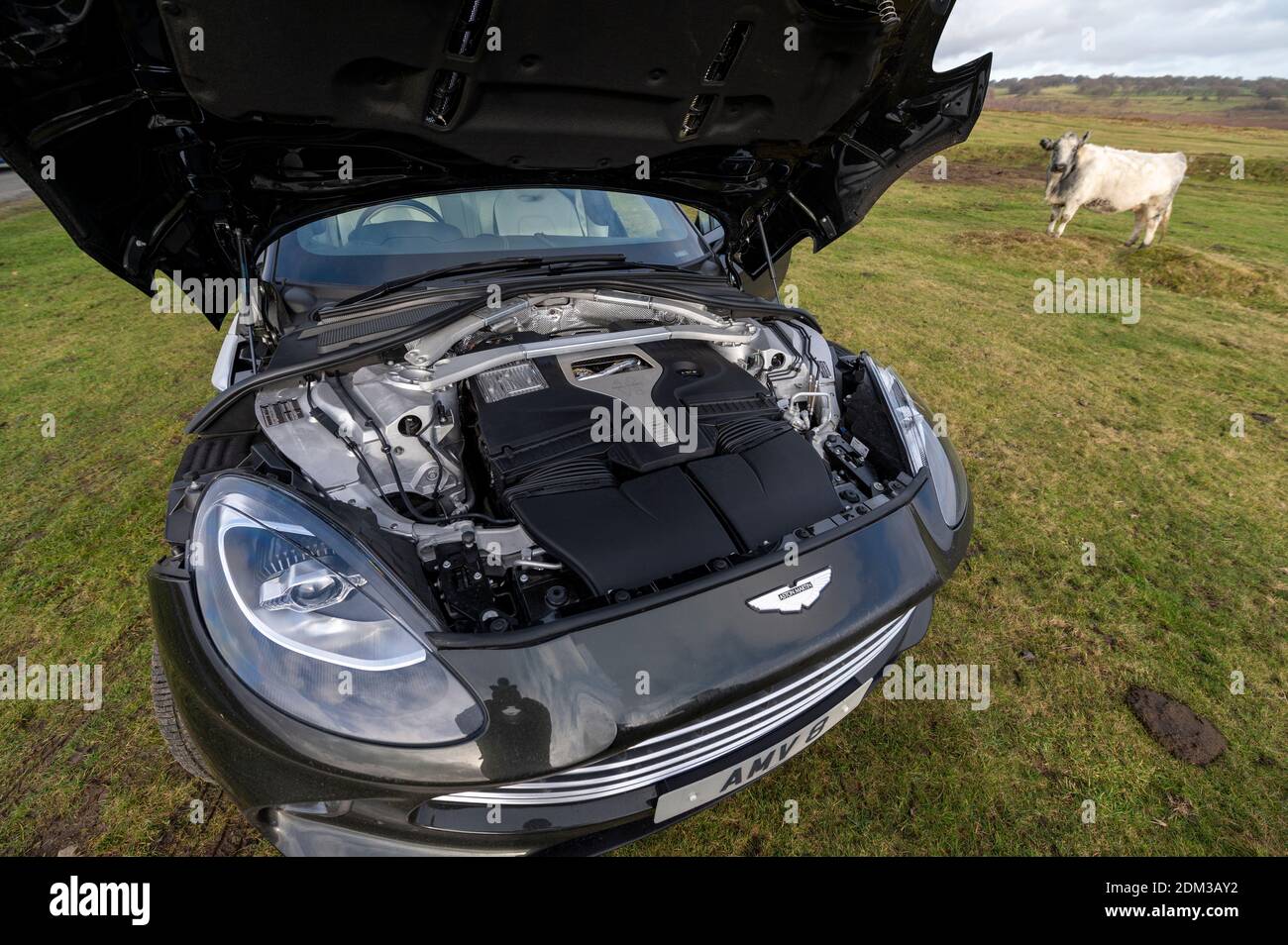 Moteur d'un vus V8 Aston Martin DBX de 4 litres avec une vitesse maximale de 180 km/h et un prix à partir de 158,000 £. Banque D'Images