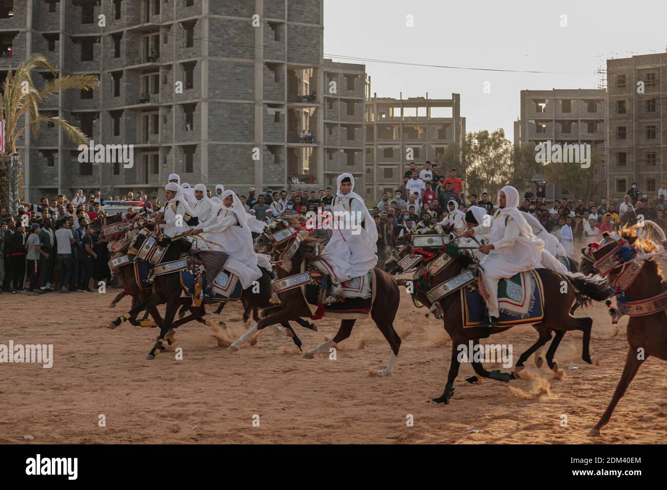 Spectacle traditionnel libyen de chevaux à l'un des mariages, Janzur, Libye - 8 novembre 2020 Banque D'Images