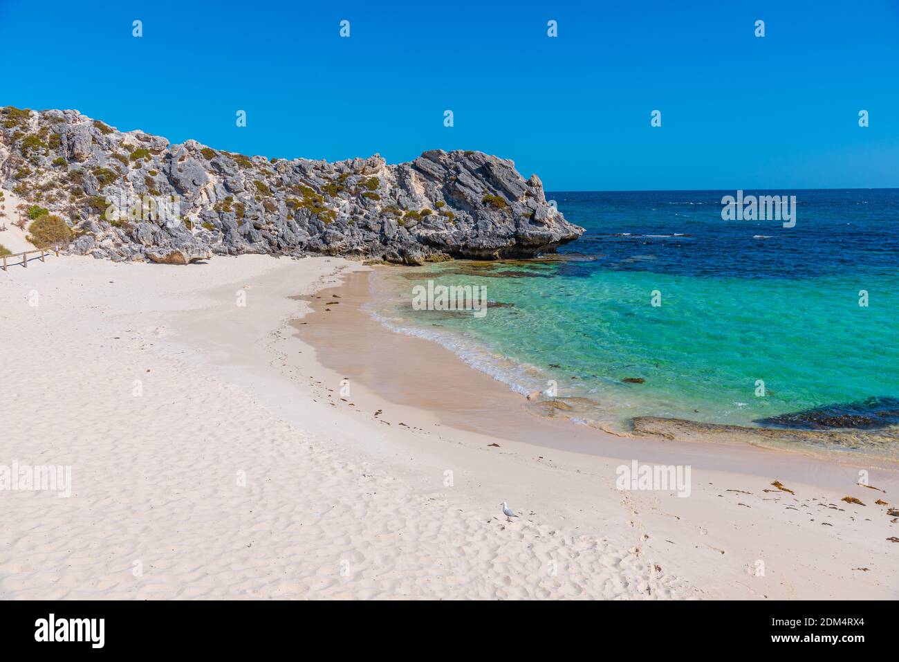 Petite baie de parakeet sur l'île de Rottnest en Australie Banque D'Images