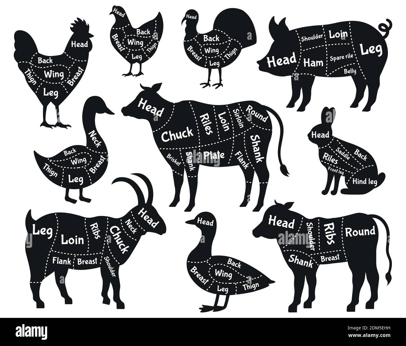 Atelier de boucher. Coupes de viande, porc, poulet, boeuf et boeuf butcher silhouette de magasin. Jeu d'illustrations vectorielles de schémas de butcher vintage Illustration de Vecteur