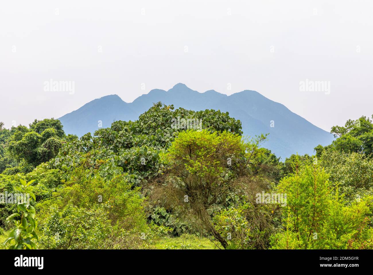 Volcans de Virunga et Parc national de Gorilla de Mgahinga de Kisoro en début de matinée avec brume dans la vallée. District de Kisoro, Ouganda, Afrique. Banque D'Images