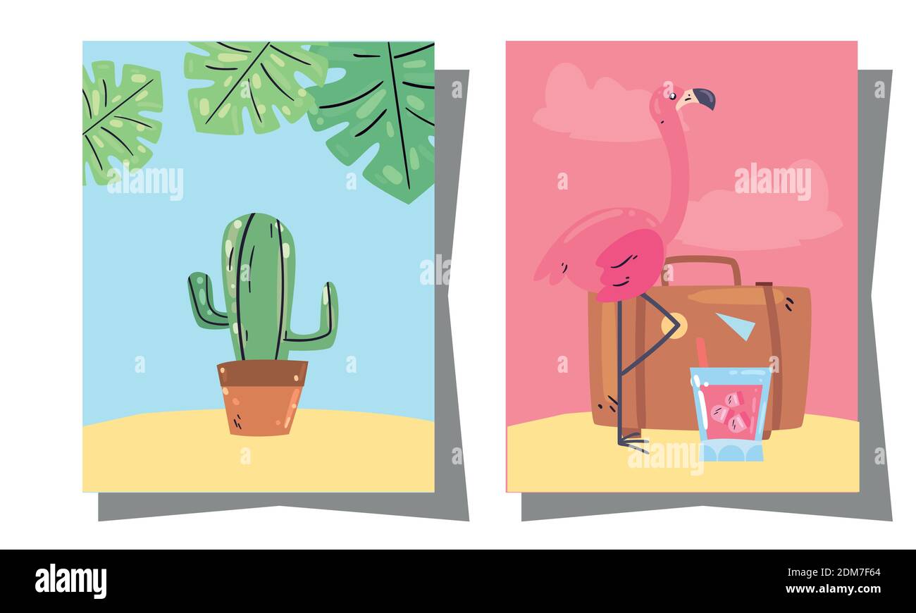 Cactus flamant d'été et sac en cadres design, vacances et thème tropical illustration vectorielle Illustration de Vecteur