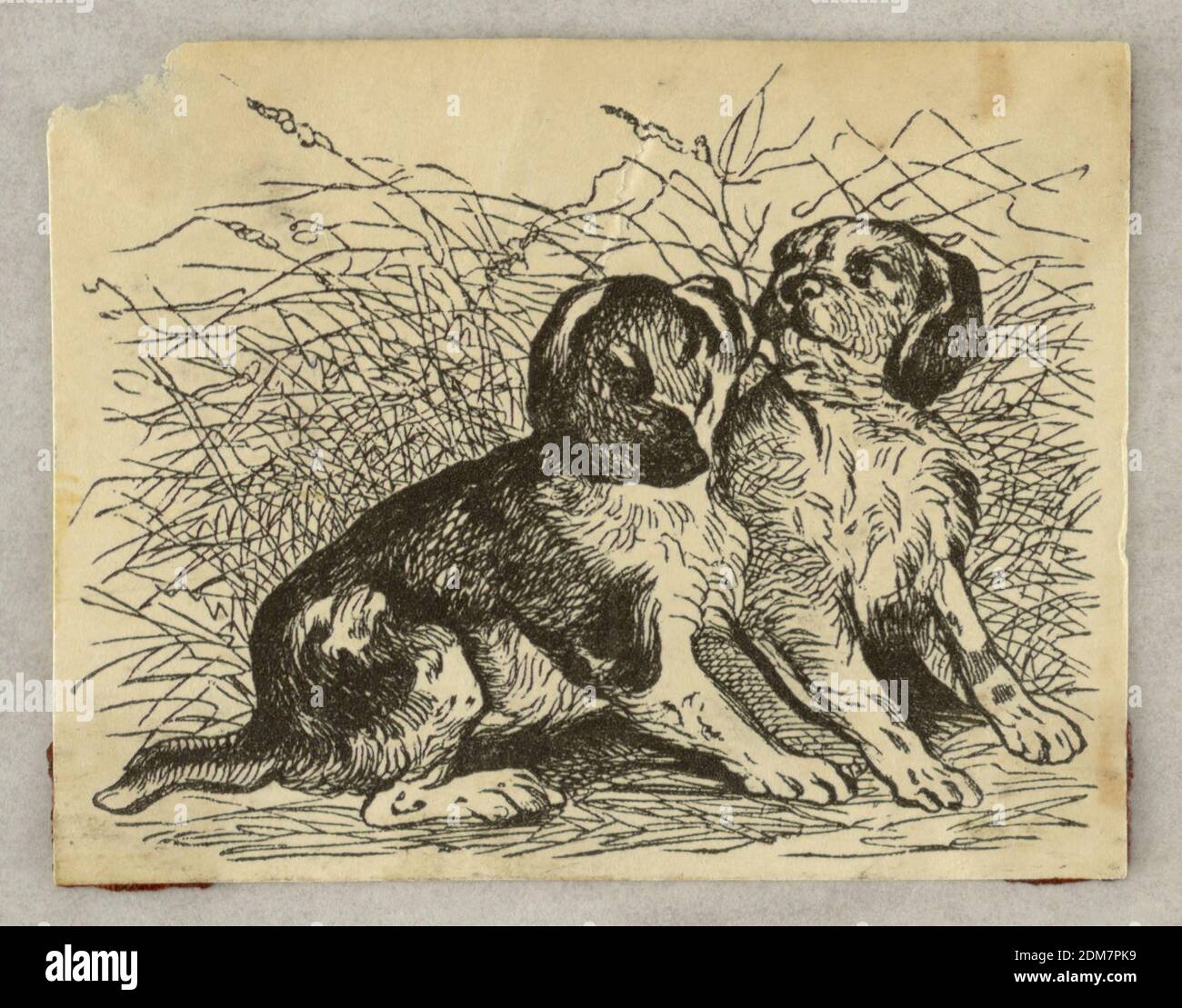 Vignette, deux chiens, gravure en bois sur papier, ils sont assis dans un champ et se regardent l'un vers l'autre., France, 1840, Imprimer Banque D'Images