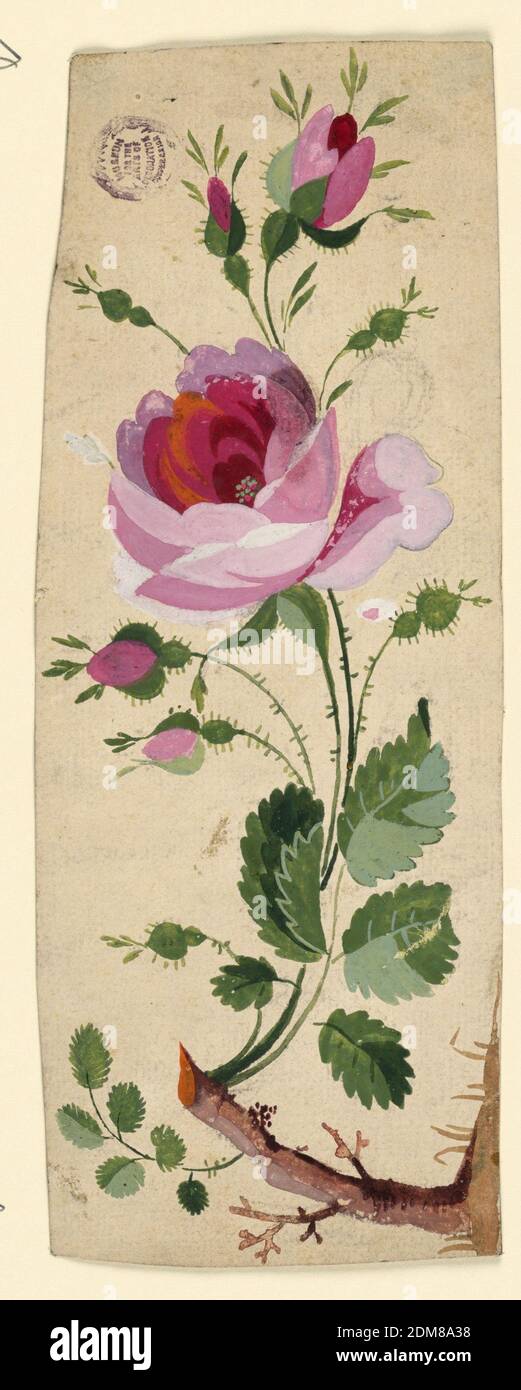 Motif pour un motif brodé, craie noire, pinceau et gouache sur papier fort, les creux roses poussent d'un tronc d'arbre, France, 1770–1800, dessin Banque D'Images