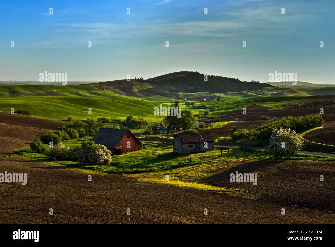 Ferme pittoresque nichée dans les collines ondoyantes de la région de Palouse près de Moscou, Idaho Banque D'Images