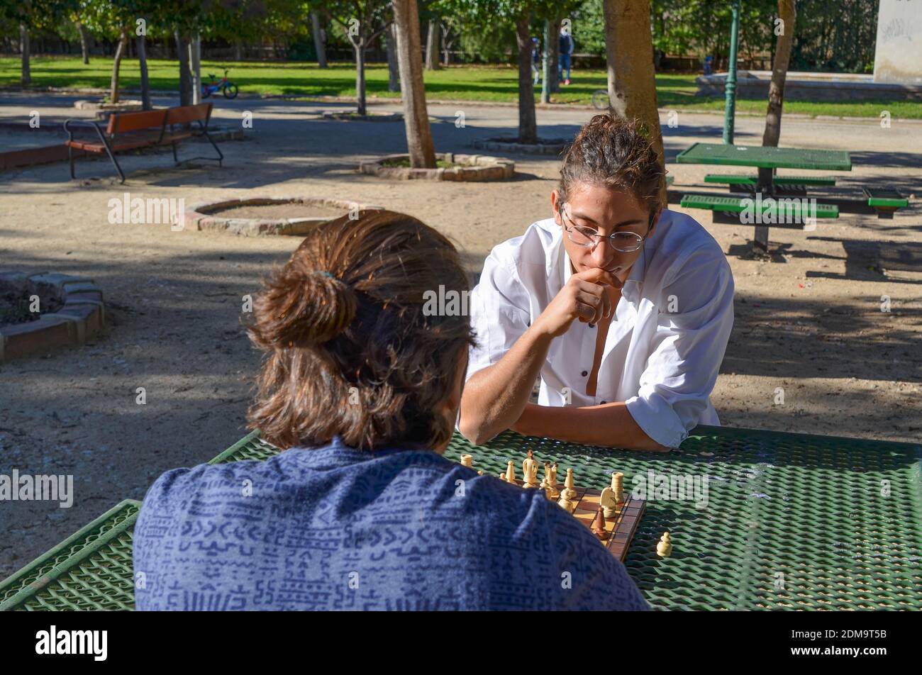 Un gros plan de deux gars jouant aux échecs dans le garez-vous près des arbres sur le banc Banque D'Images