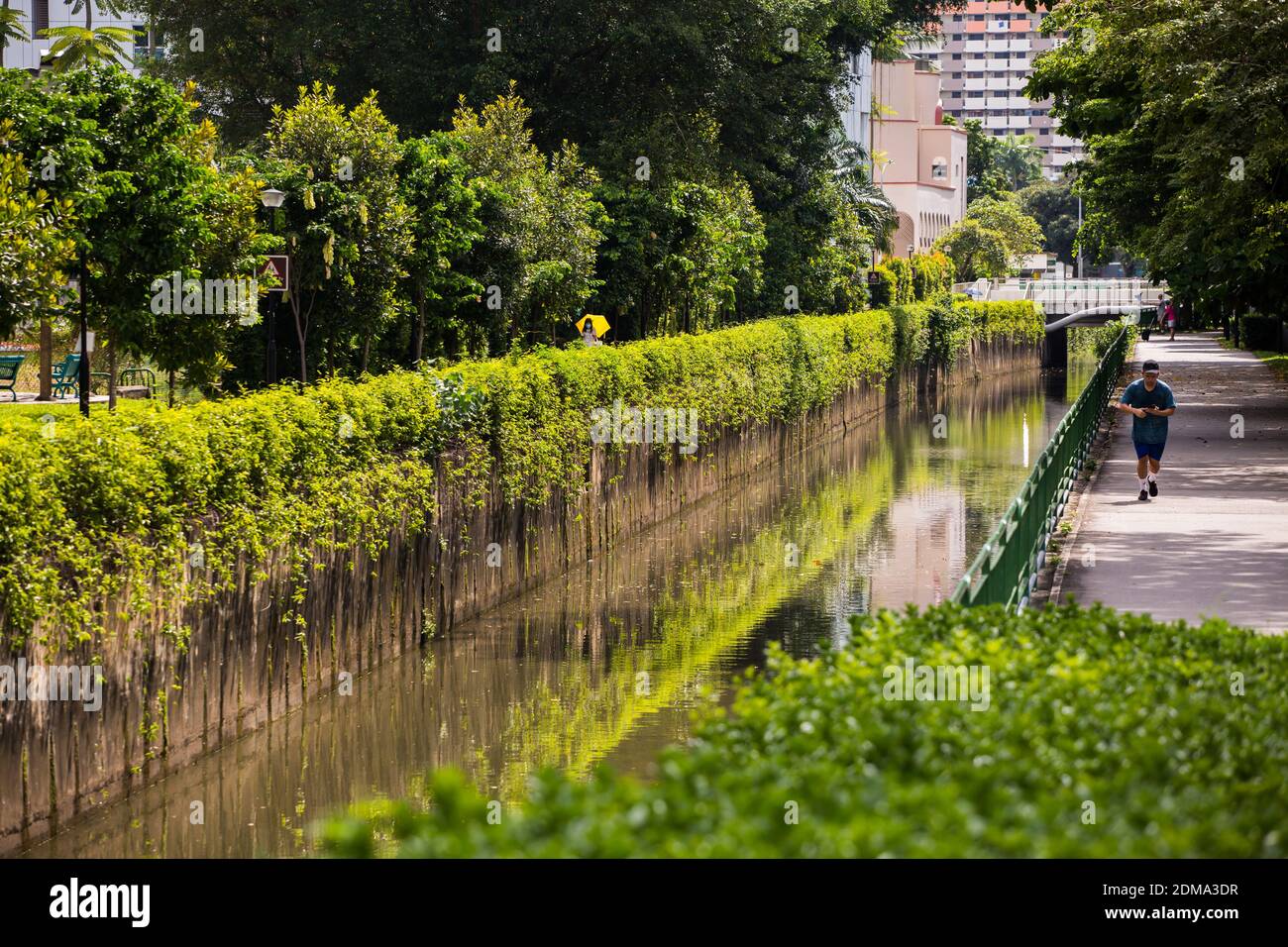 Belle caractéristique d'aménagement paysager comme les plantes creepers avec des membres du public utilisant l'infrastructure de connecteur du parc Whampoa, Singapour. Banque D'Images
