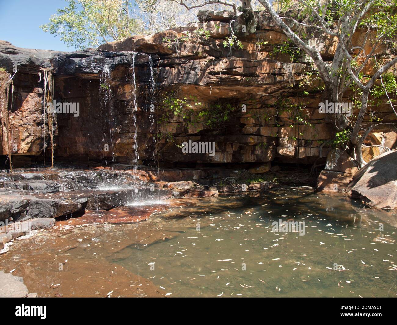 Petite cascade et bassin de plongée sous le surplomb de grès, station Mt Elizabeth, Gibb River Road, Kimberley. Banque D'Images