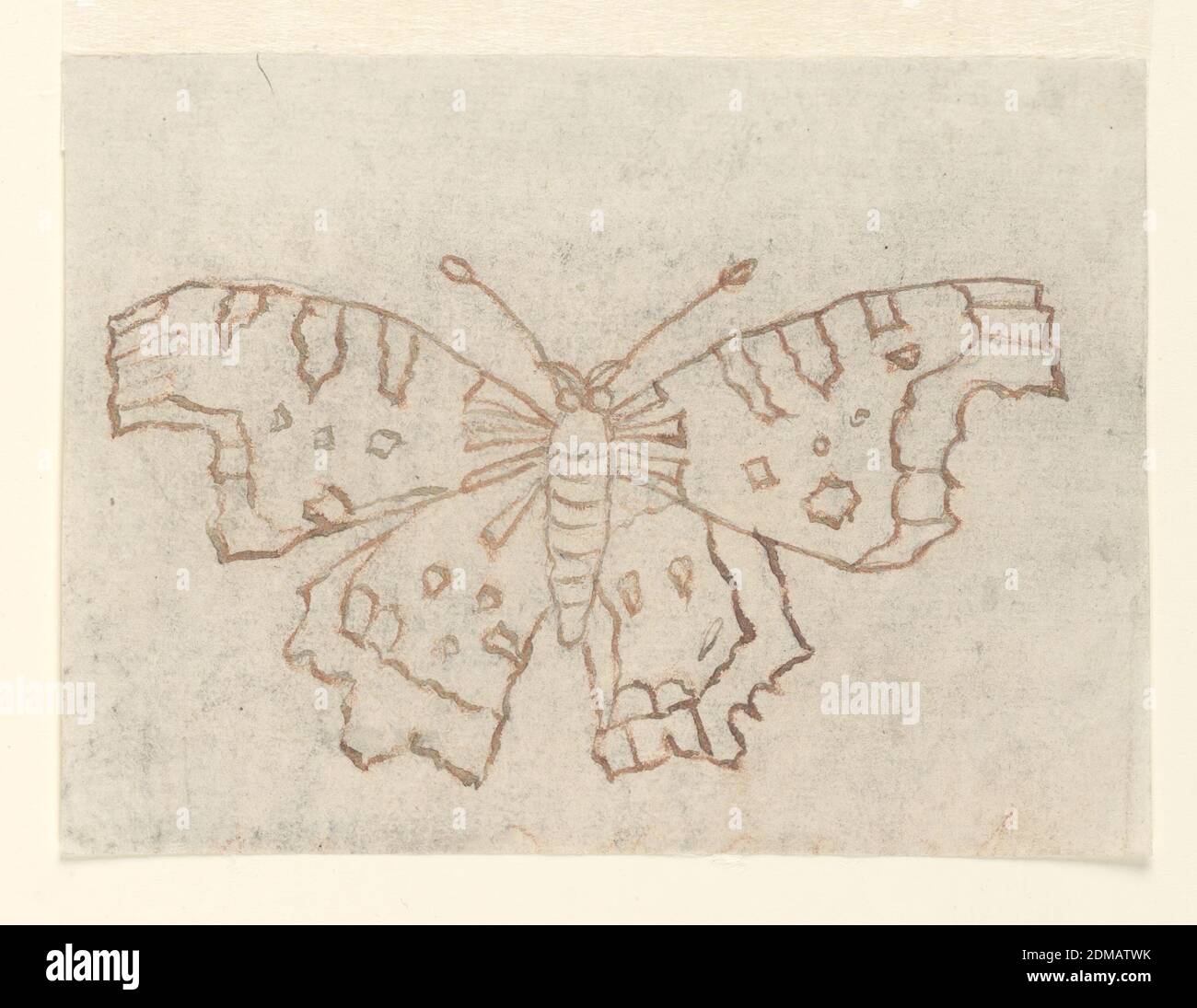 Conception textile : un papillon, de la craie rouge, un stylo et de l'encre rouge sur du papier crème, UN grand papillon avec des ailes à motifs s'étaler vu d'en haut. Dessin piquant pour transfert., Italie, 1800–30, dessins textiles, dessin Banque D'Images