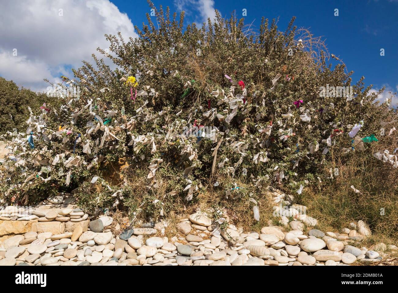 Pébbles lisses et arbre de souhaits avec des offrandes de prière liées aux branches de la plage de Petra tou Romiou, Pafos, Chypre. Banque D'Images