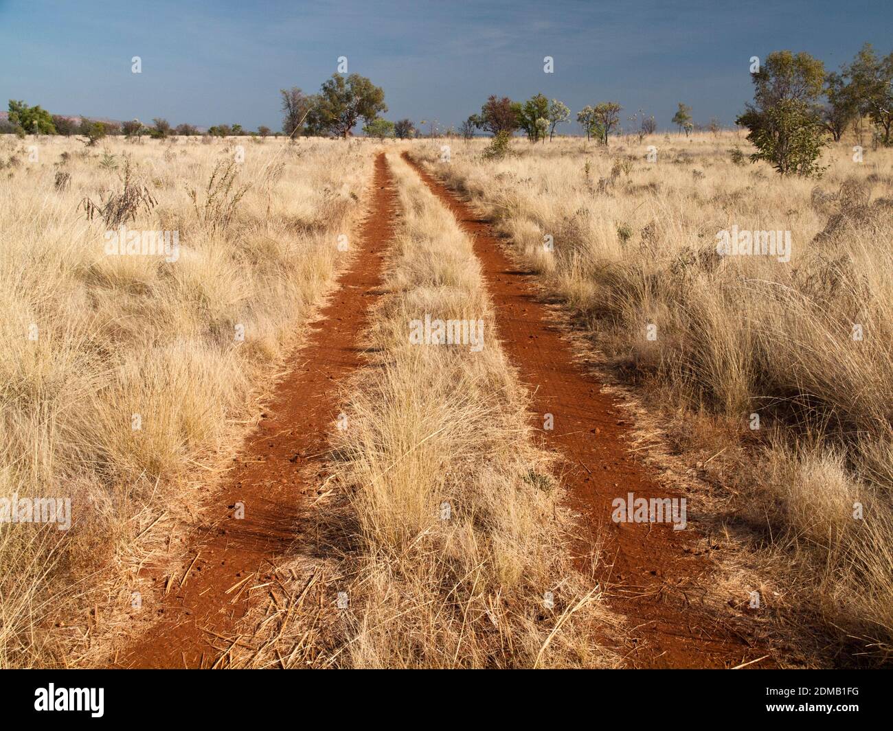 Piste de véhicules accidentée à travers les prairies de savane sur le sanctuaire de la faune de Mornington, Kimberley, Australie occidentale Banque D'Images