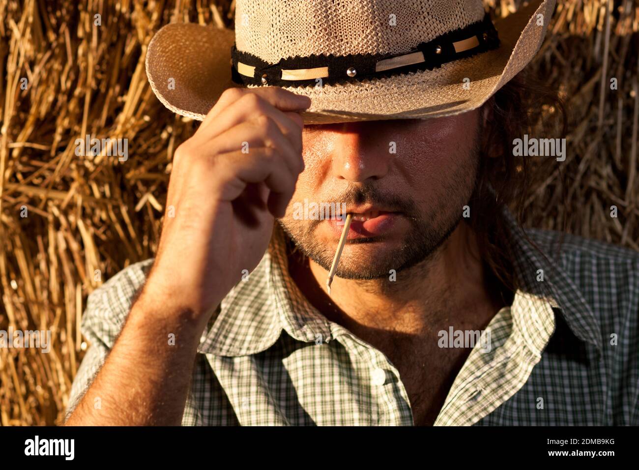 Cowboy avec de la paille dans sa bouche en tenant son chapeau Photo Stock -  Alamy