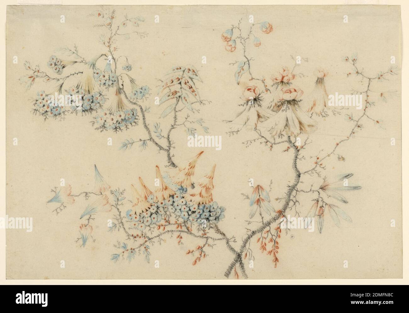 Branches fleuries, Pillement Jean-Baptiste, français, 1728–1808, craie sur papier blanc, dessin de deux longues branches. En haut à gauche, bouquets de petites fleurs bleues; en bas à gauche, petits bouquets à fleurs bleues avec des formes de cône inversées rouges sur le dessus; en haut à droite, fleurs roses rouges sur des bases en plumes., France, 1775–1800, études de la nature, dessin Banque D'Images