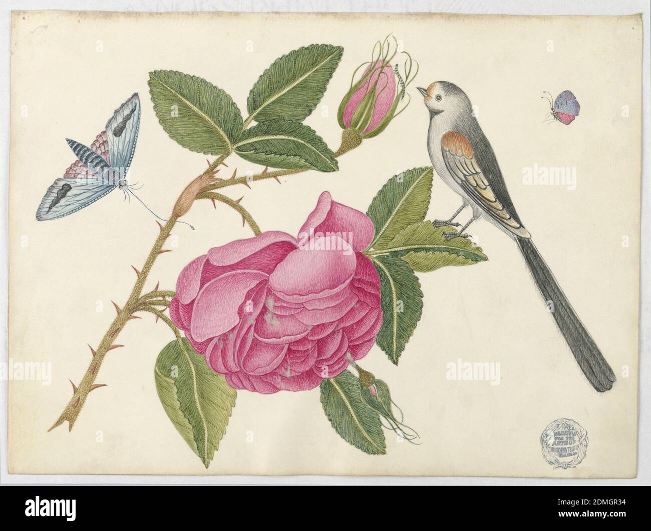 Petit oiseau noir et blanc sur feuille de rose avec fleurs et papillons, stylo et encre, graphite sur papier vélin enduit, petit oiseau noir et blanc sur feuille de rose avec fleurs et papillons, ca. 1800–1830, mise en plan Banque D'Images