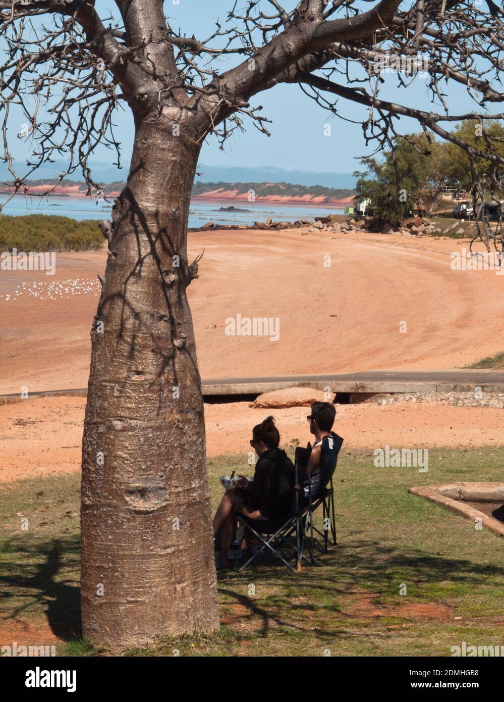 Touristes se détendant à l'ombre d'un Boab (Adansonia gregorii), à Broome's Town Beach, Australie occidentale Banque D'Images