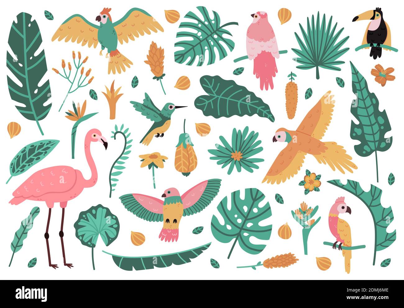 Feuilles et oiseaux exotiques. Feuilles tropicales, fleurs et oiseaux de la faune, perroquet, flamants roses et toucan. Illustrations vectorielles Jungle Exotic Elements Illustration de Vecteur