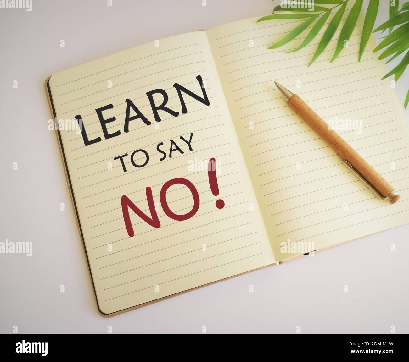 Main conceptuel montrant l'écriture Apprendre à dire non. photo d'affaires mettant en valeur n'hésitez pas dire que vous n'avez ou que vous voulez faire quelque chose. Banque D'Images