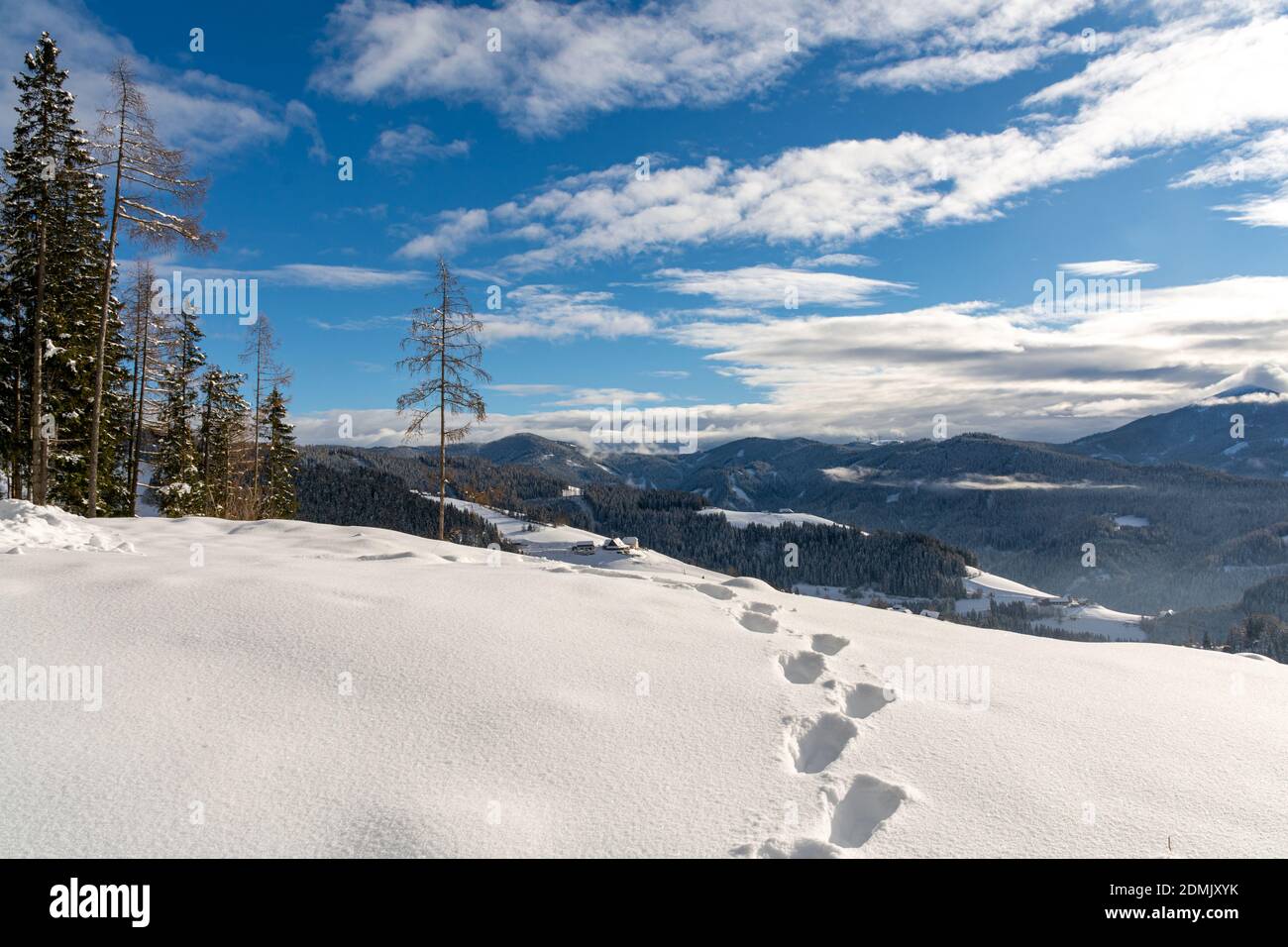 Empreintes de pas dans la neige, Kleinlobming, Autriche Banque D'Images