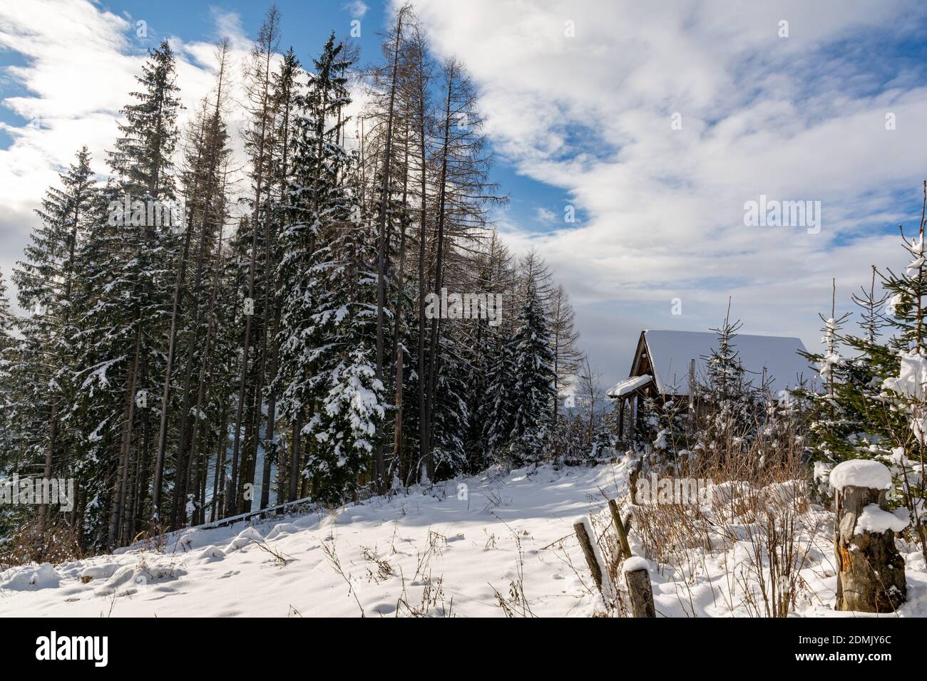 Hutte dans la forêt d'hiver, Kleinlobming, Autriche Banque D'Images