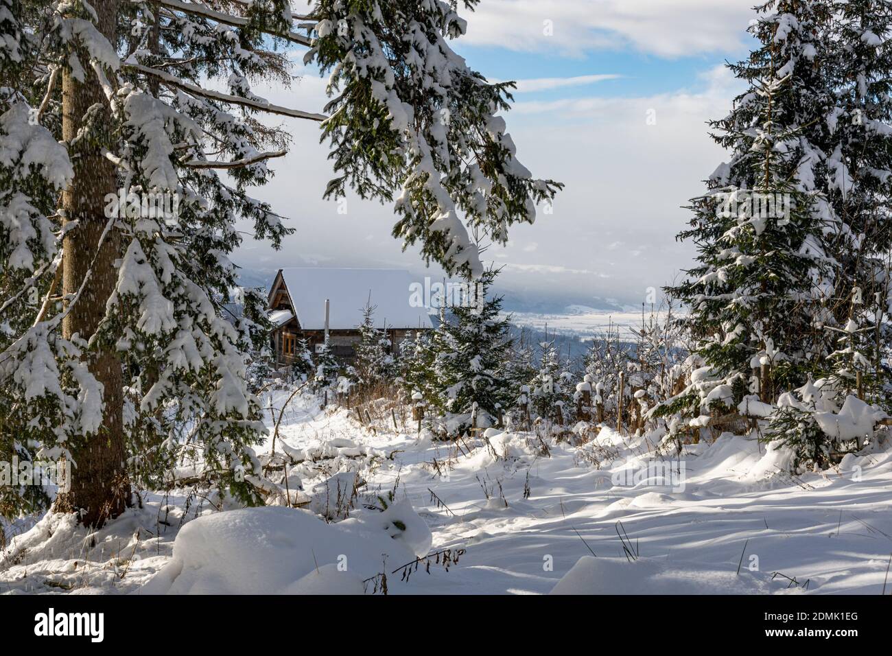 Cabane en bois entre les arbres pendant l'hiver, Kleinlobming, Autriche Banque D'Images