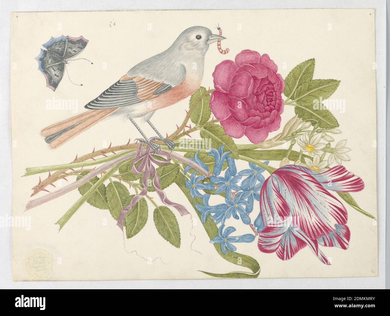 Oiseau gris et corail sur le bouquet avec rose, tulipe, pâquerettes, et méné-méné, papillon, stylo et encre, graphite sur papier vélin enduit, oiseau gris et corail sur le bouquet avec rose, tulipe, pâquerettes, et méné-méné, avec papillon, ca. 1800–1830, mise en plan Banque D'Images