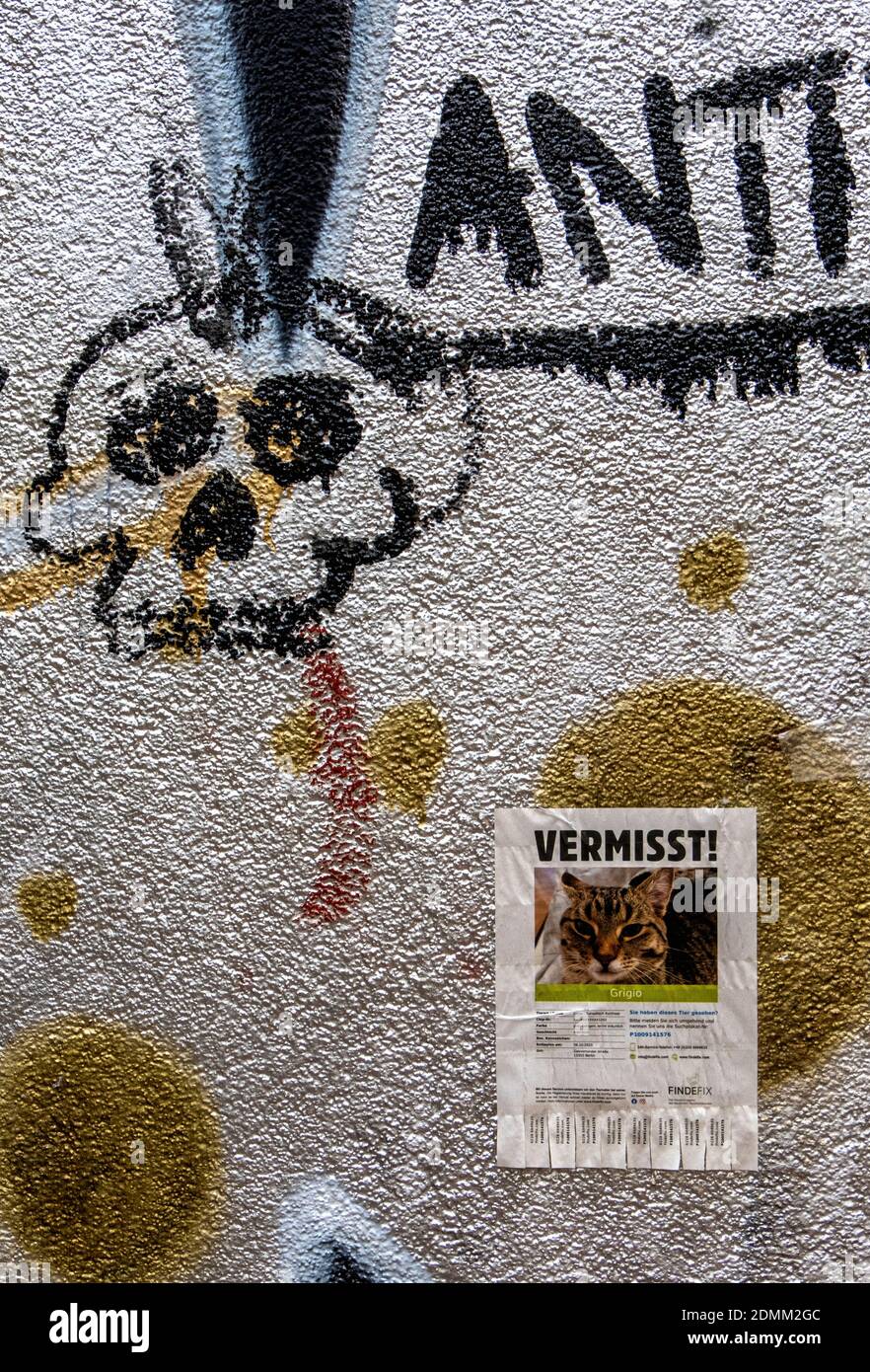 Détails urbains - graffiti Skull et affiche chat manquante à Mitte, Berlin, Allemagne Banque D'Images