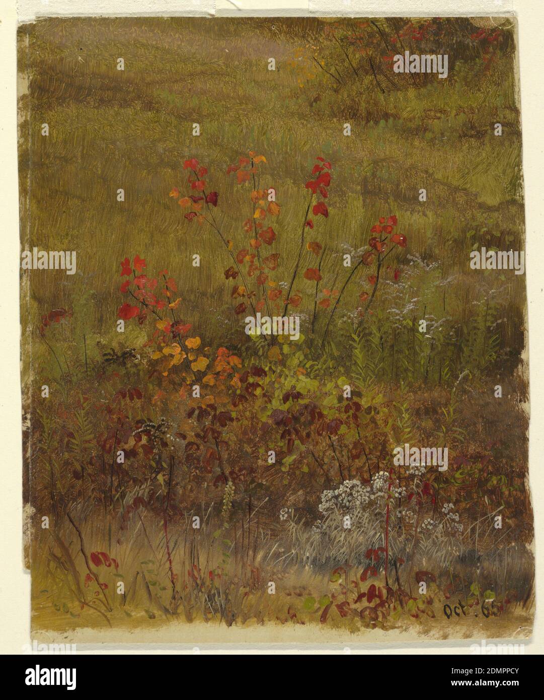 Etudes botaniques, église Frederic Edwin, américaine, 1826–1900, huile sur carton, plantes et buissons sont vus sur la pente d'une colline. Couleur de mise à la terre crémeuse au fond., États-Unis, octobre 1865, études de la nature, dessin Banque D'Images