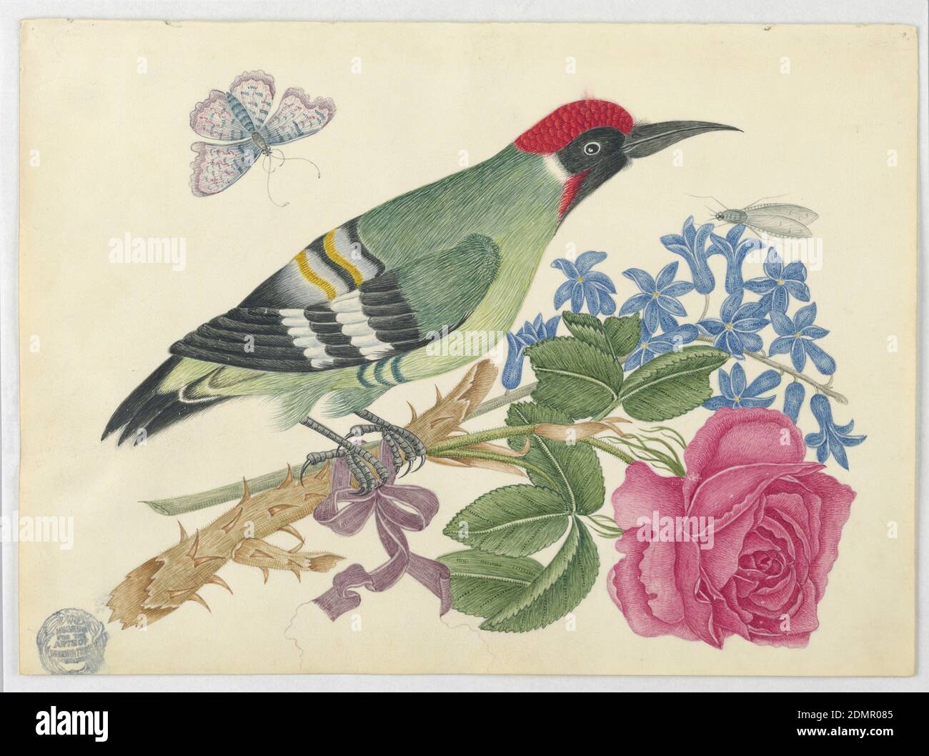 Pic vert européen sur branche avec rose et oublis-me-nots, stylo et encre, graphite sur papier vélin couché, pic vert européen sur branche avec rose et oublis-me-nots, ca. 1800–1830, mise en plan Banque D'Images