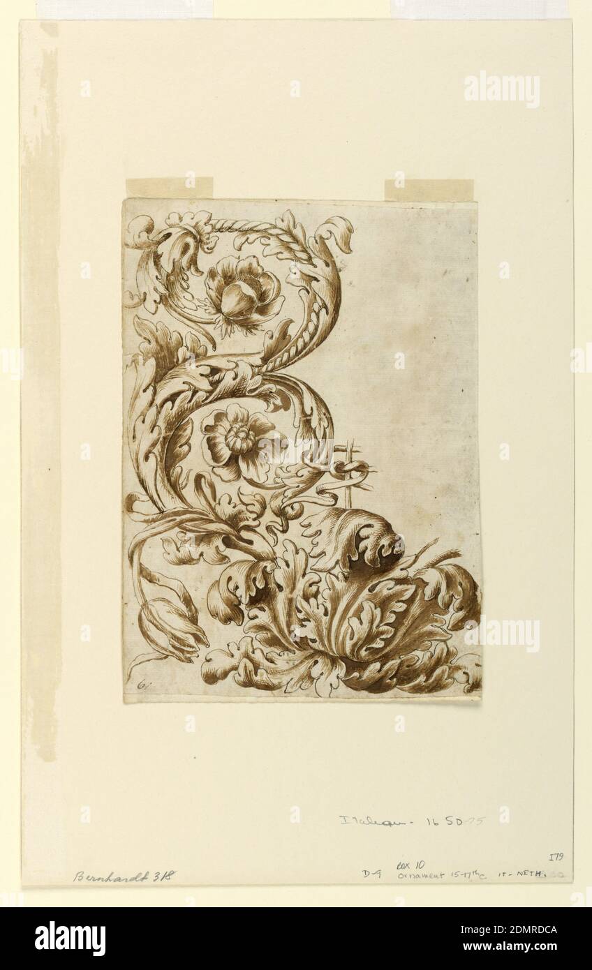 Décoration florale, stylo et encre brune, lavage brun support: Papier blanc déposé, Italie, 1650–75, architecture, dessin Banque D'Images