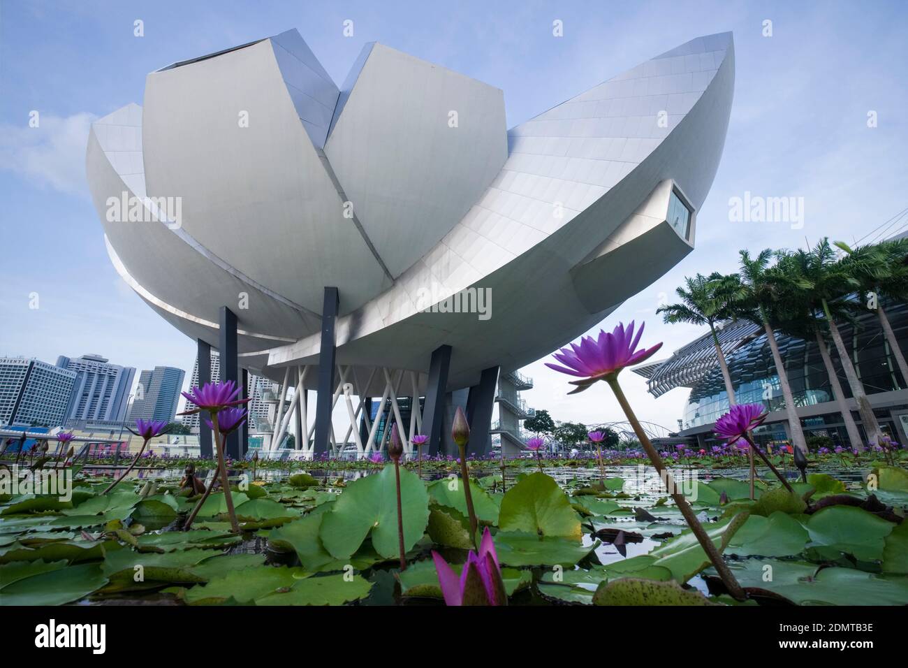 Singapour : Musée ArtScience, Marina Bay Sands Banque D'Images