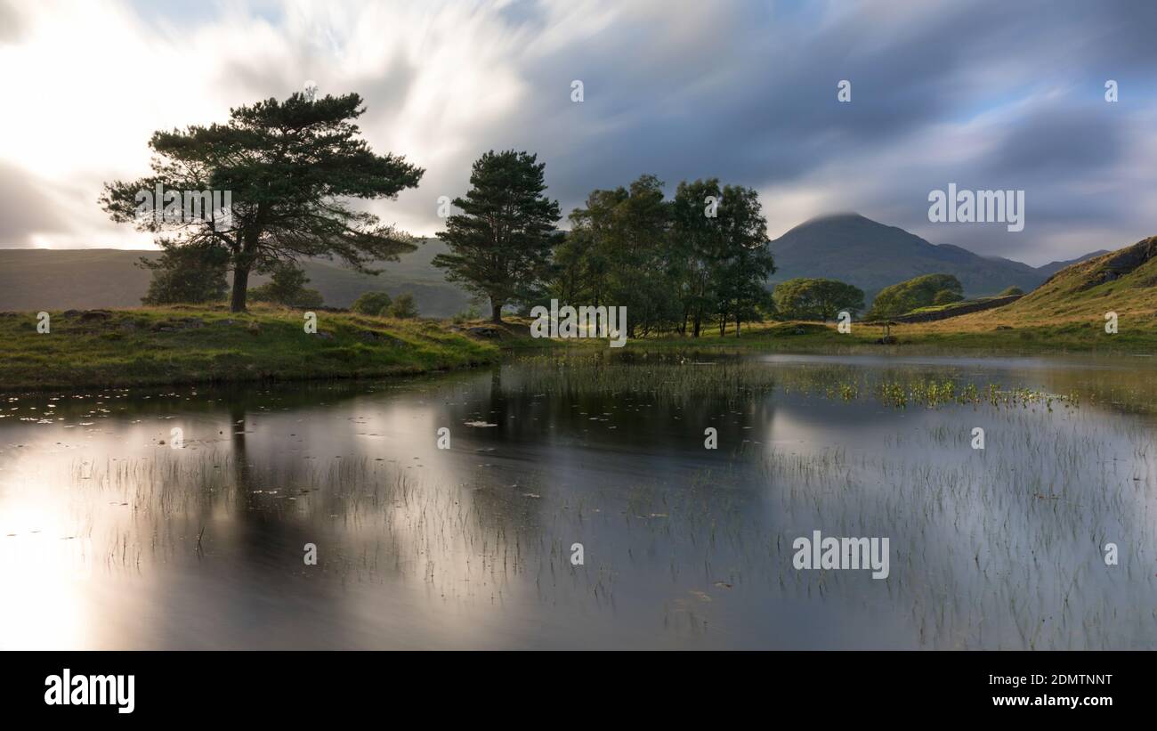 Réflexions à Kelly Hall Tarn, Coniston, Lake District, Royaume-Uni Banque D'Images