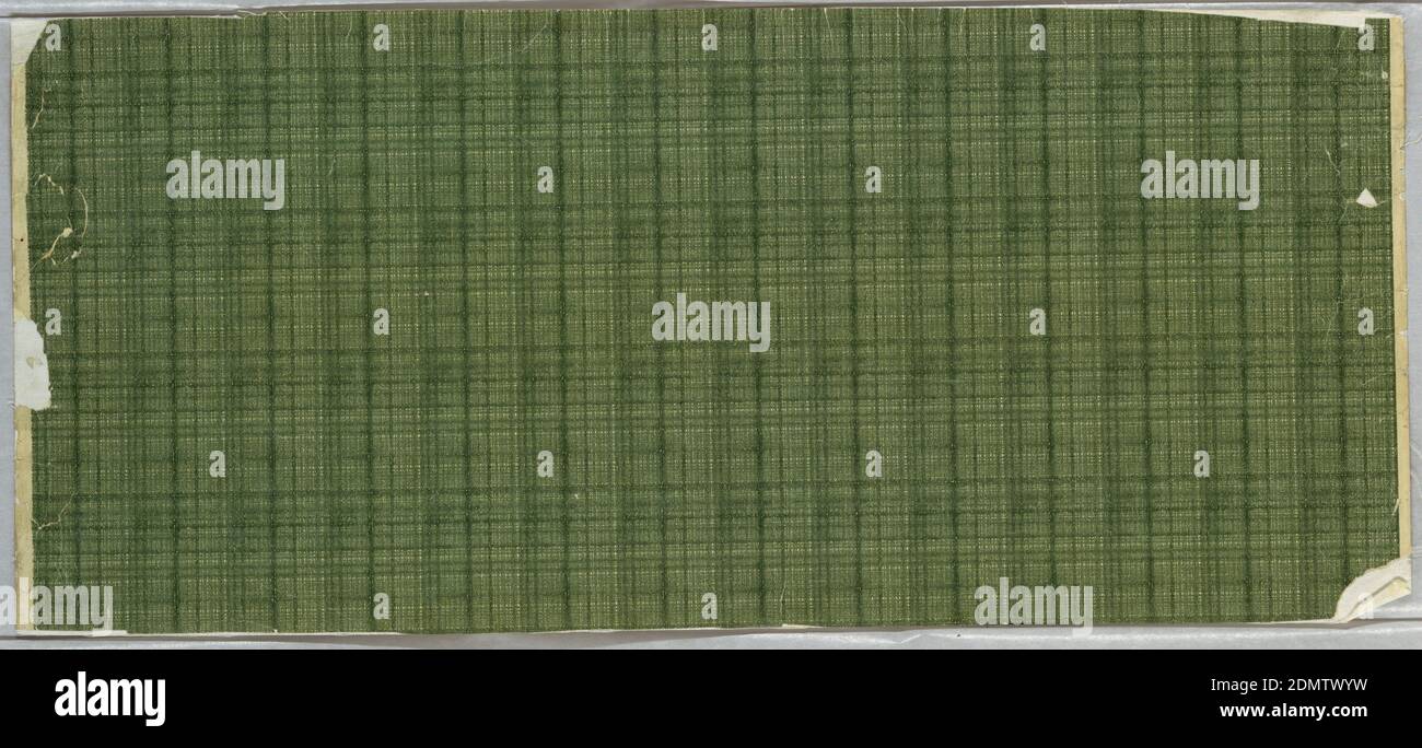Flanc, imprimé à la machine, rectangle horizontal, imprimé dans les tons de vert, avec simulation de pelouse., États-Unis, 1890–1900, revêtements muraux, flanc Banque D'Images