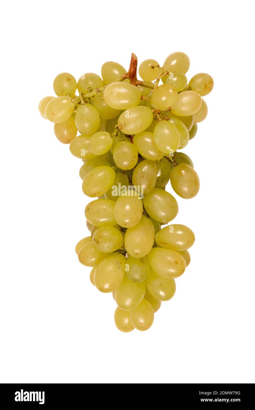Raisin de table blanc, groupe isolé sur fond blanc Banque D'Images