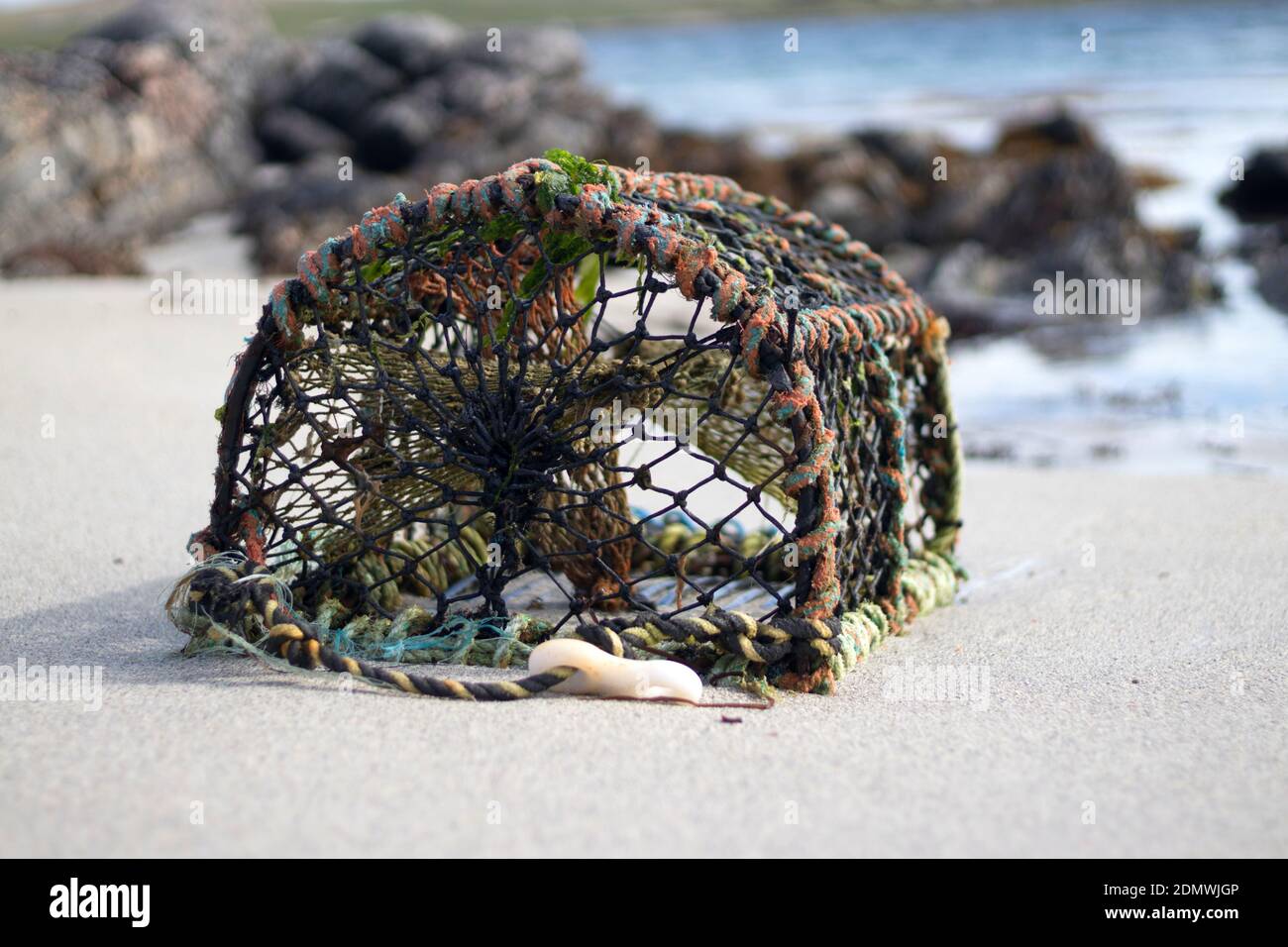 Pot de homard lavé sur la plage écossaise Banque D'Images