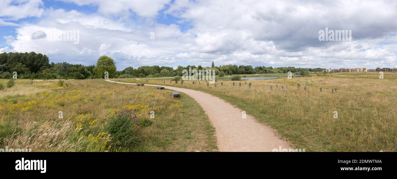 Trumpington Meadows, réserve naturelle, Cambridgeshire, Cambridge Banque D'Images