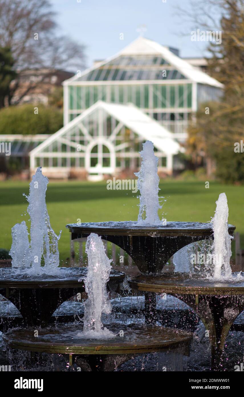 Fontaine d'eau et verre House Jardins botaniques de Cambridge, Cambridge Banque D'Images