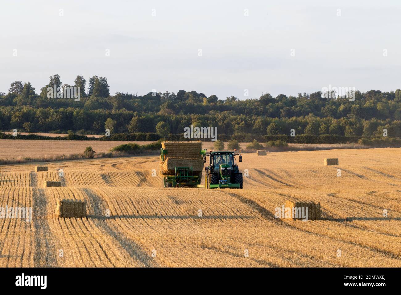Tracteur clouant du foin, Stapleford, Cambridge, Cambridgeshire, Royaume-Uni Banque D'Images