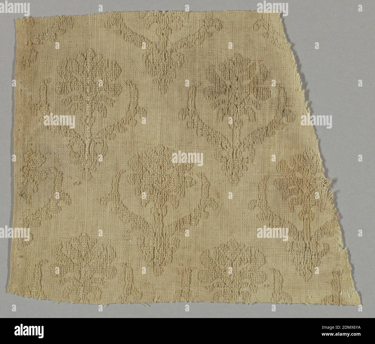 Fragment, medium: ttechnique de lin: Chaîne supplémentaire formant une pile surélevée dans la fondation de tissage simple (velours), répétition de fleur d'Allover avec deux feuilles de flanking., XVIIe siècle, textiles tissés, fragment Banque D'Images