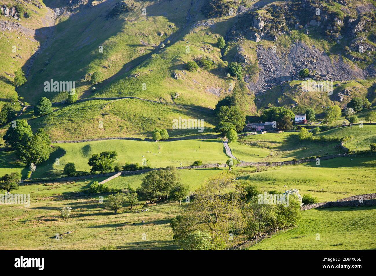 Little Langdale, Cumbria, Angleterre. Vue sur les champs verts jusqu'aux pistes de Lingmoor Fell, tôt le matin. Banque D'Images