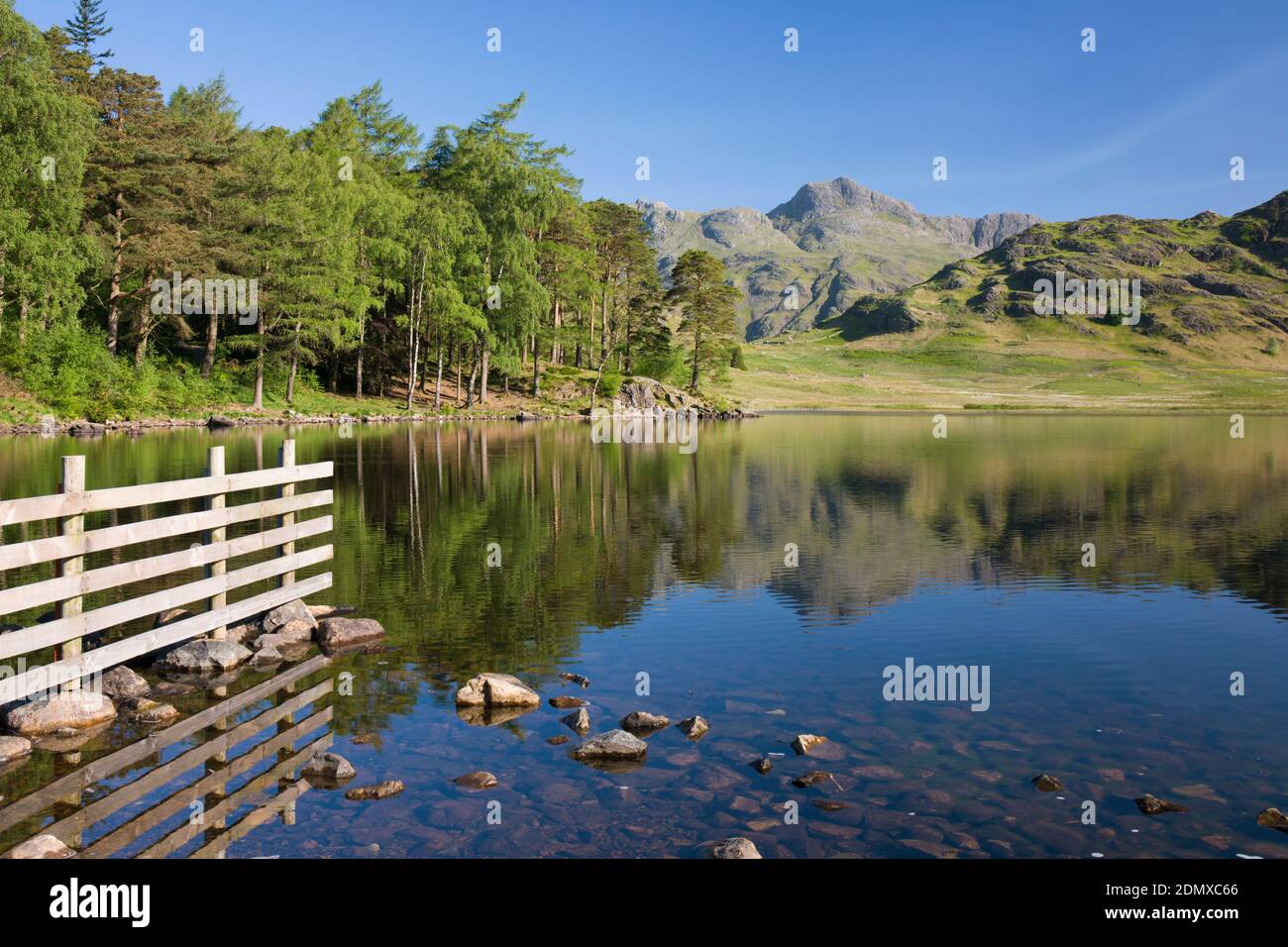 Great Langdale, Cumbria, Angleterre. Vue sur la paisible Blea Tarn jusqu'aux Langdale Pikes, tôt le matin. Banque D'Images