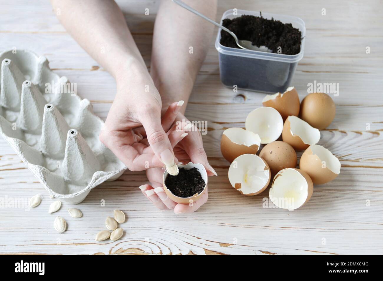 21 idées créatives pour utiliser des coquilles d'œufs en loisirs