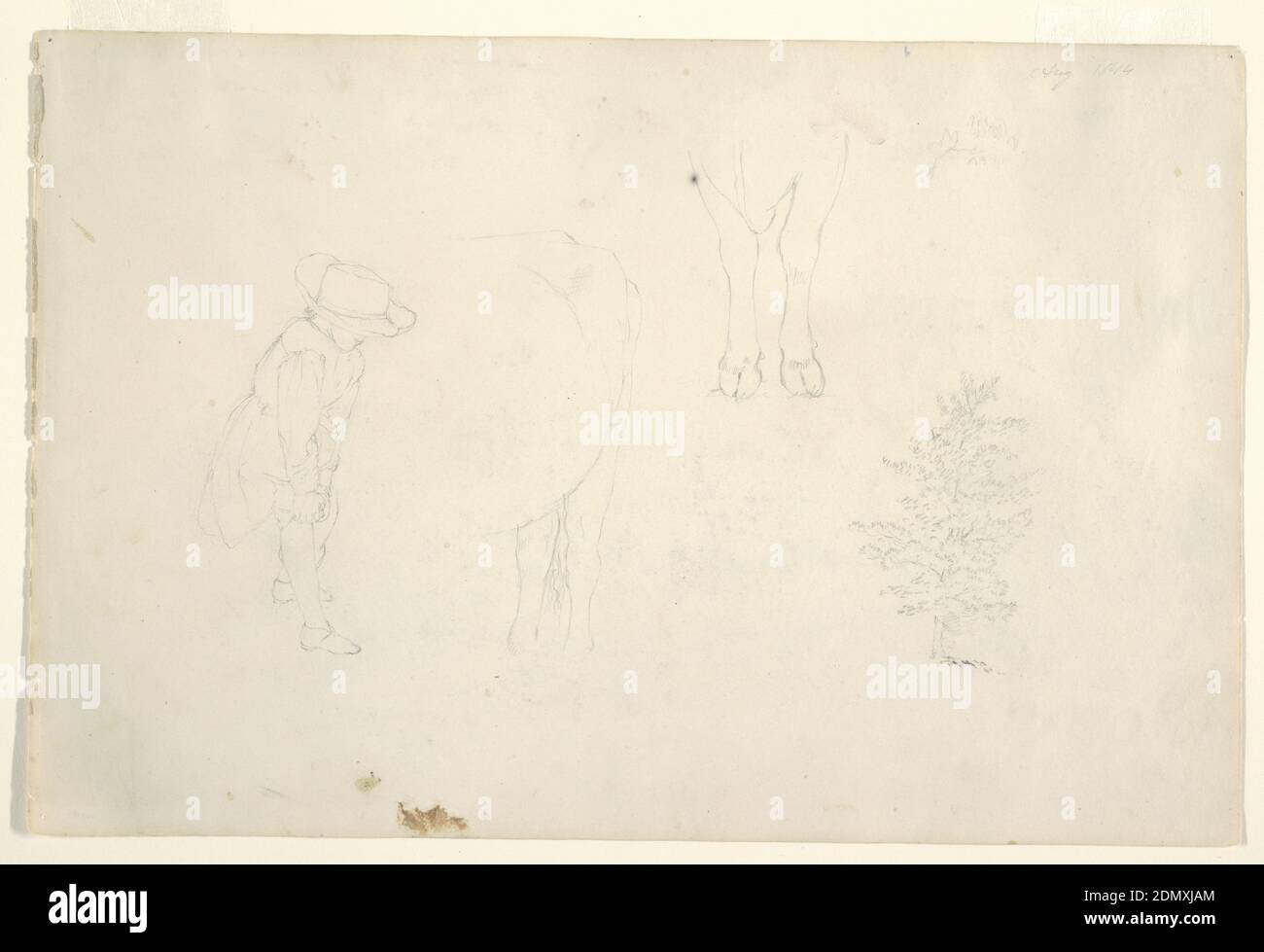 Etude de Theodore Cole (fils de Thomas Cole?), pattes de vache, et un arbre, église Frédéric Edwin, américaine, 1826–1900, Graphite sur papier blanc cassé, Recto: Vue horizontale d'un enfant debout, montré de la droite portant un chapeau à large bord et ajustant ses chaussettes, détails des jambes de vaches et un arbre., verso: Étude horizontale de nuages sur une vue des falaises au-dessus de la rivière Hudon en regardant vers les montagnes Catskill., août 1844, études de la nature, dessin Banque D'Images