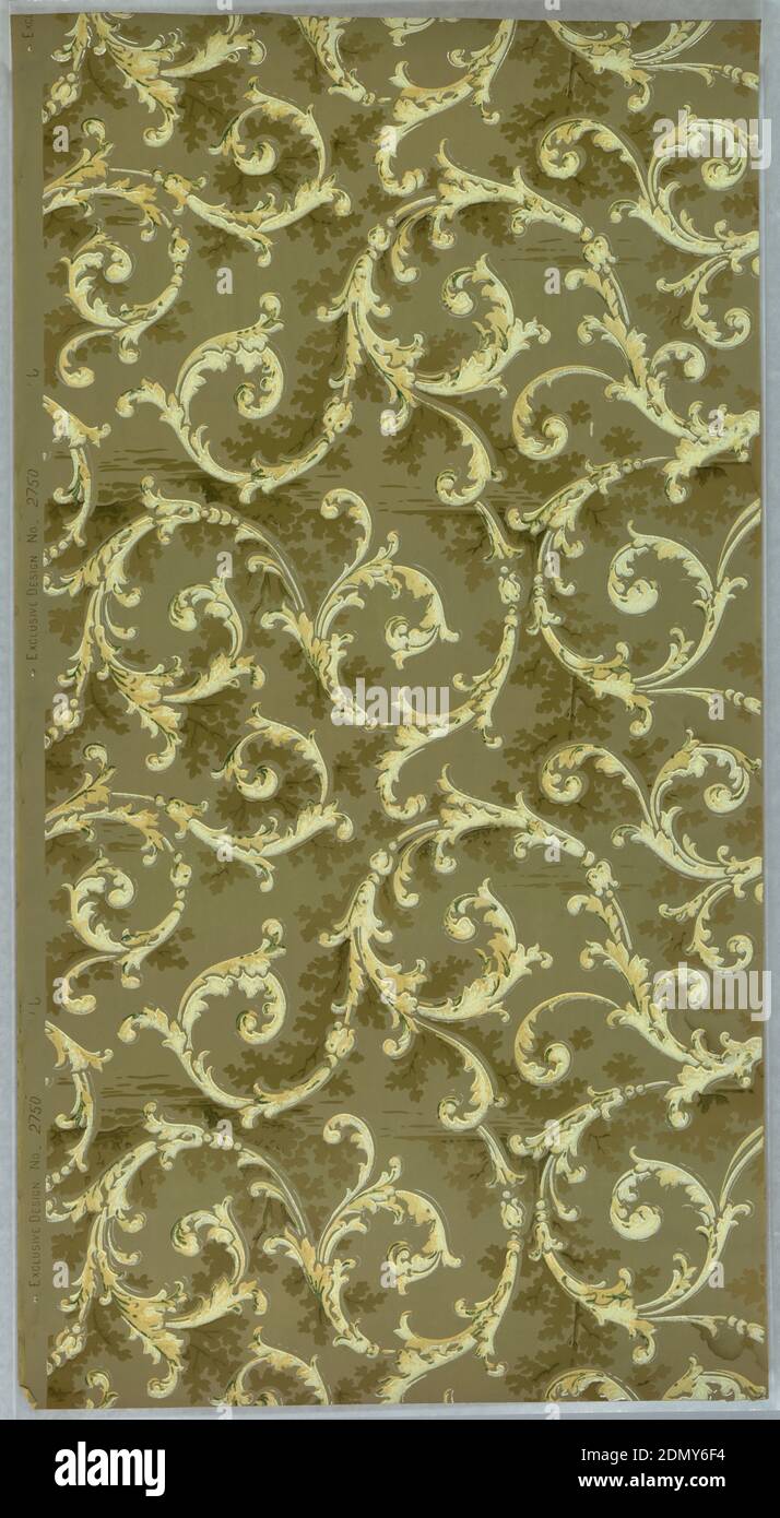 Flanc, papier imprimé à la machine, mica liquide, sur sol gris foncé, scrollwork blanc avec quelques branches ombrées., États-Unis, 1905–1915, revêtements muraux, flanc Banque D'Images