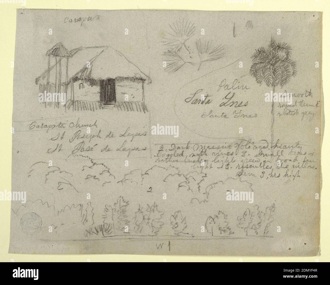 Église de San José de Lapas, Carapata et études botaniques, probablement Colombie, Église Frederic Edwin, américaine, 1826–1900, Graphite sur papier gris, vue horizontale contenant une église avec clocher en haut à gauche; branches d'une paume en haut au centre; paume en haut à droite; Arbres sur une rive de rivière au fond., 1853, études de la nature, dessin Banque D'Images